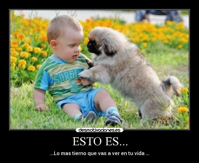 ESTO ES... -