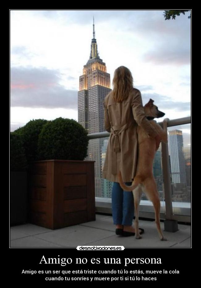 Amigo no es una persona -