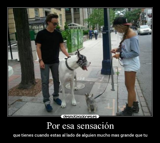 Por esa sensación -