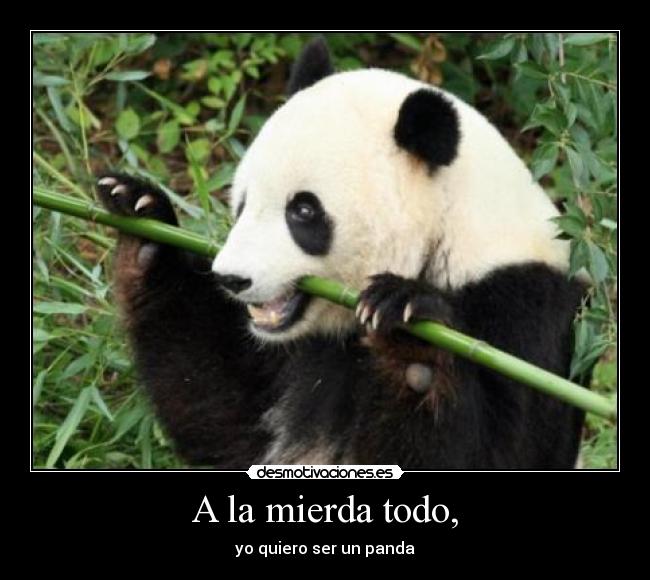 A la mierda todo, - yo quiero ser un panda