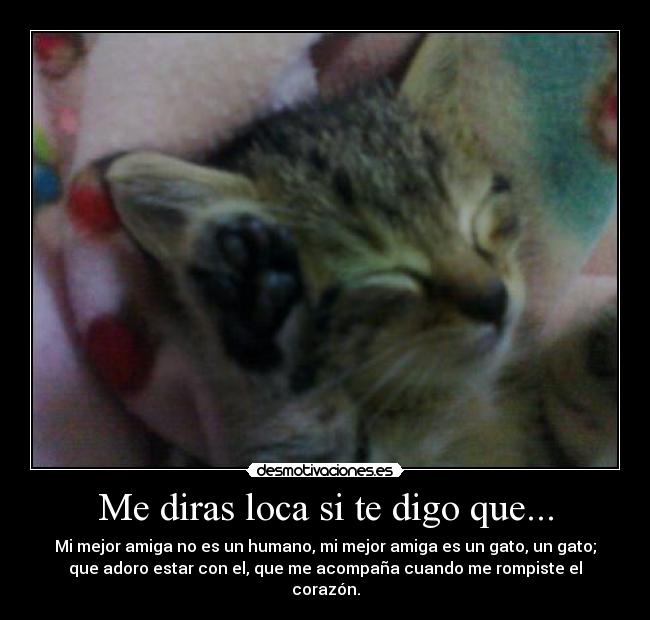 Me diras loca si te digo que... -