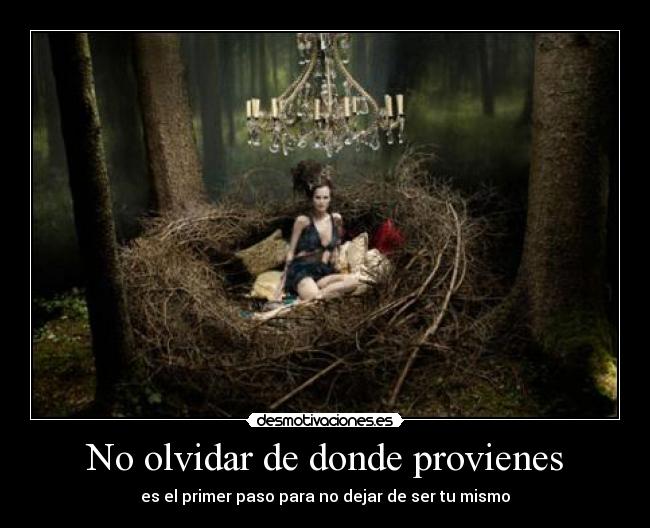 No olvidar de donde provienes - 