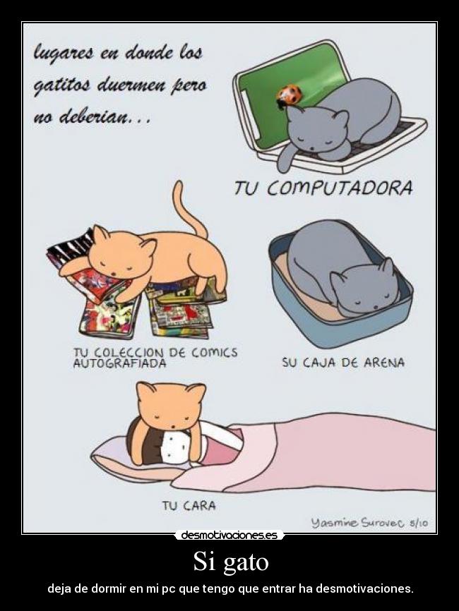 Si gato - deja de dormir en mi pc que tengo que entrar ha desmotivaciones.