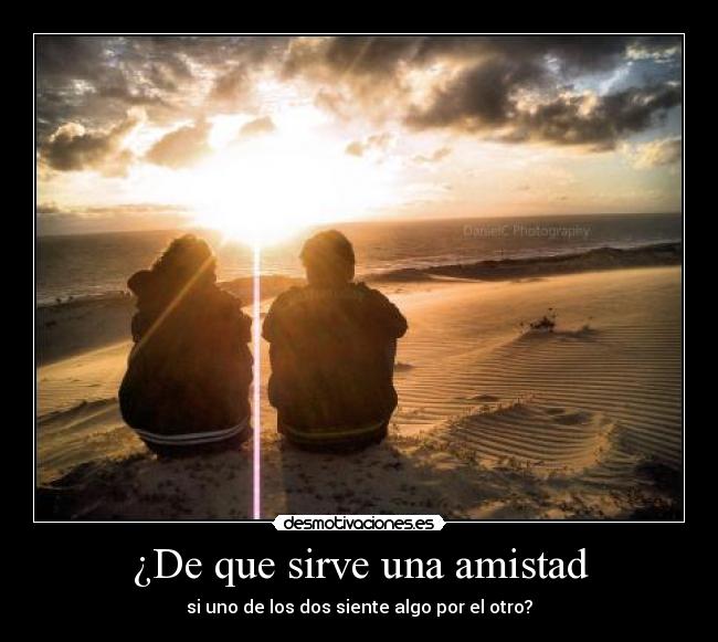 carteles amistad soifelis broma veolo gatos desmotivaciones