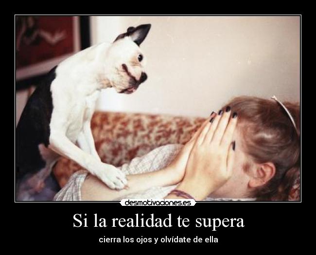 Si la realidad te supera -