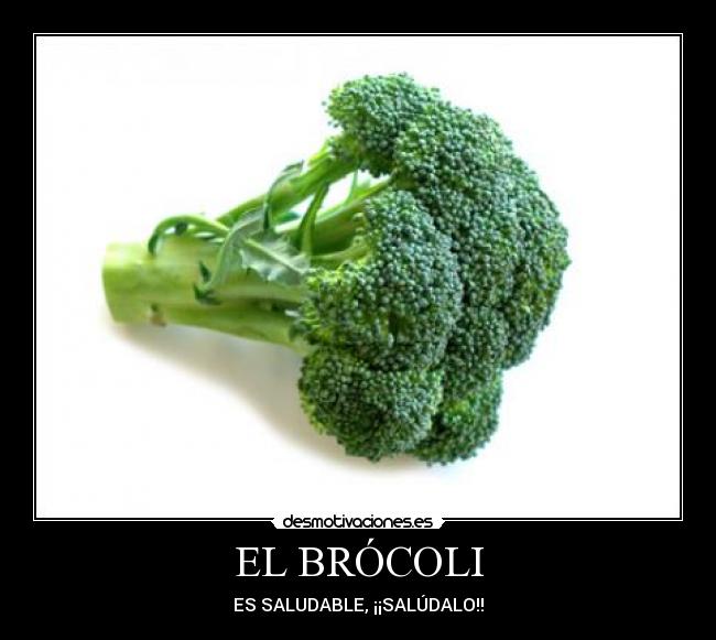 EL BRÓCOLI -