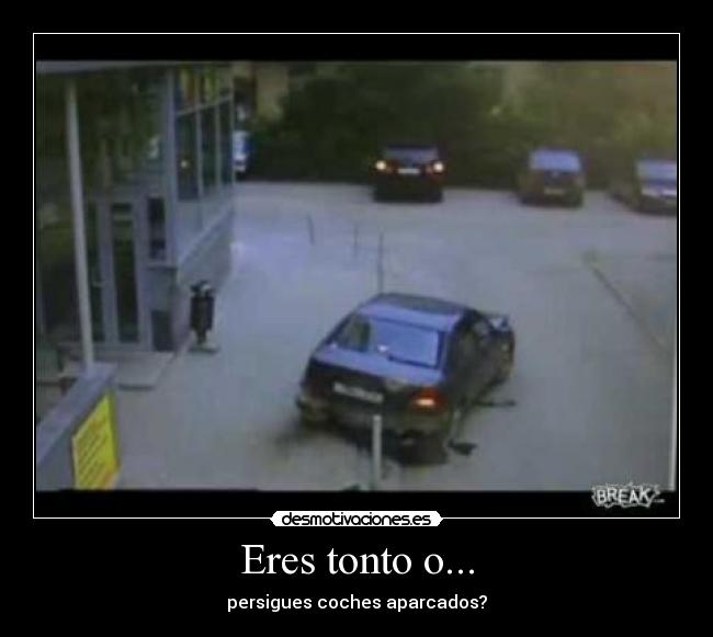 Eres tonto o... -
