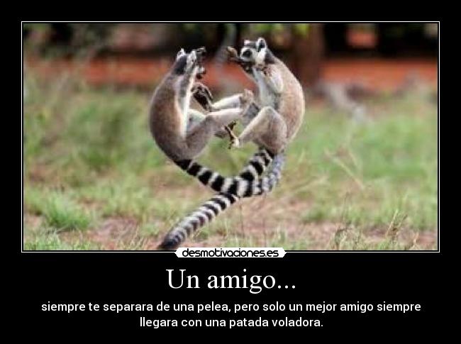 Un amigo... - siempre te separara de una pelea, pero solo un mejor amigo siempre
llegara con una patada voladora.