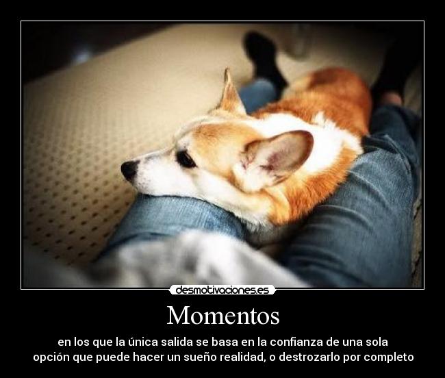 Momentos - 