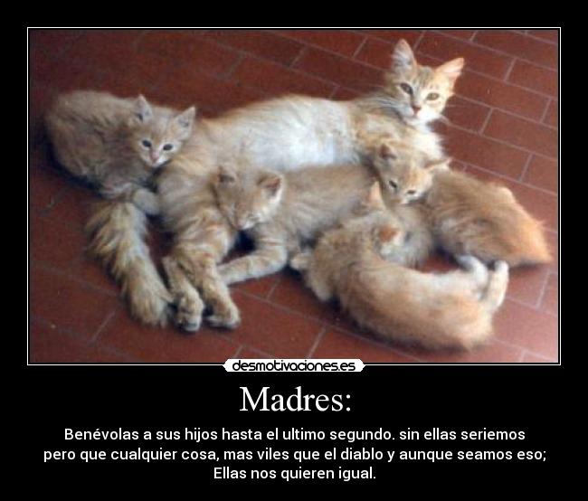 carteles madres desmotivaciones