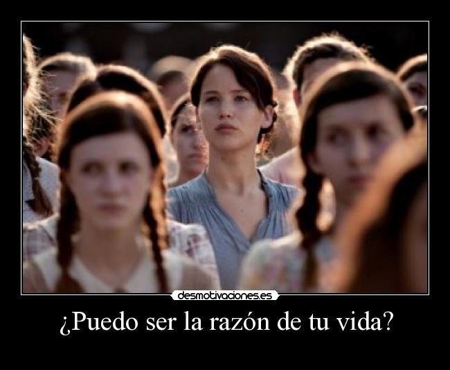carteles vida sheremee ljdh katniss everdeen desmotivaciones