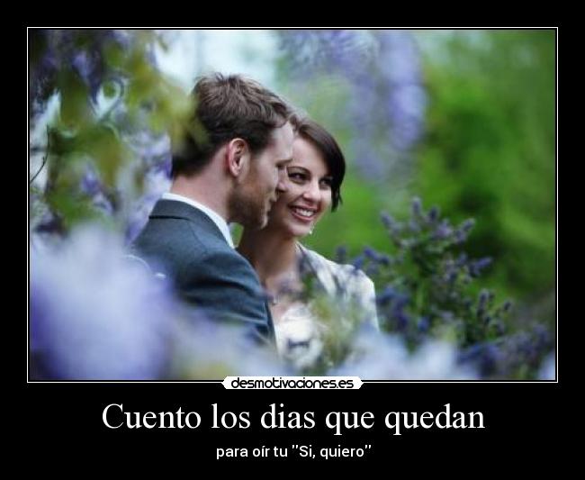 carteles martifers desmotivaciones