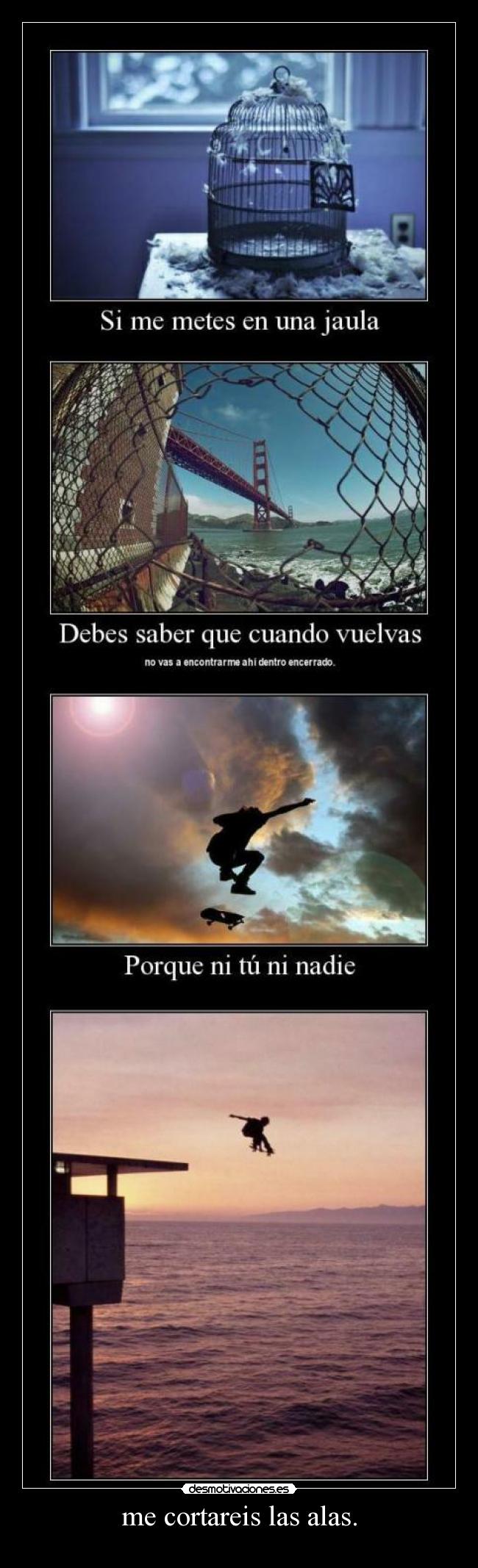 me cortareis las alas. -