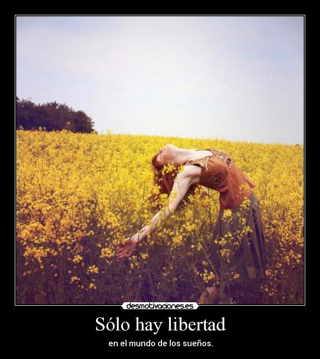Sólo hay libertad - 