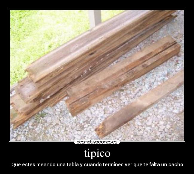 carteles lool desmotivaciones