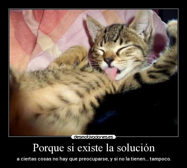 carteles solucion tranquilidad desmotivaciones