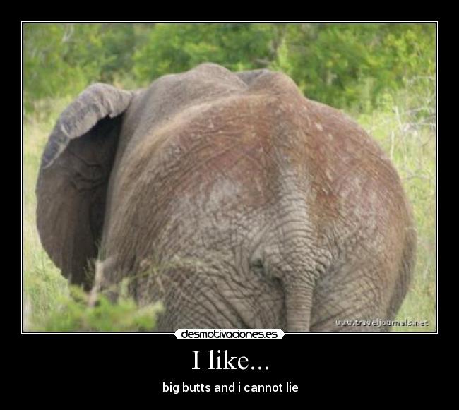 I like... - big butts and i cannot lie