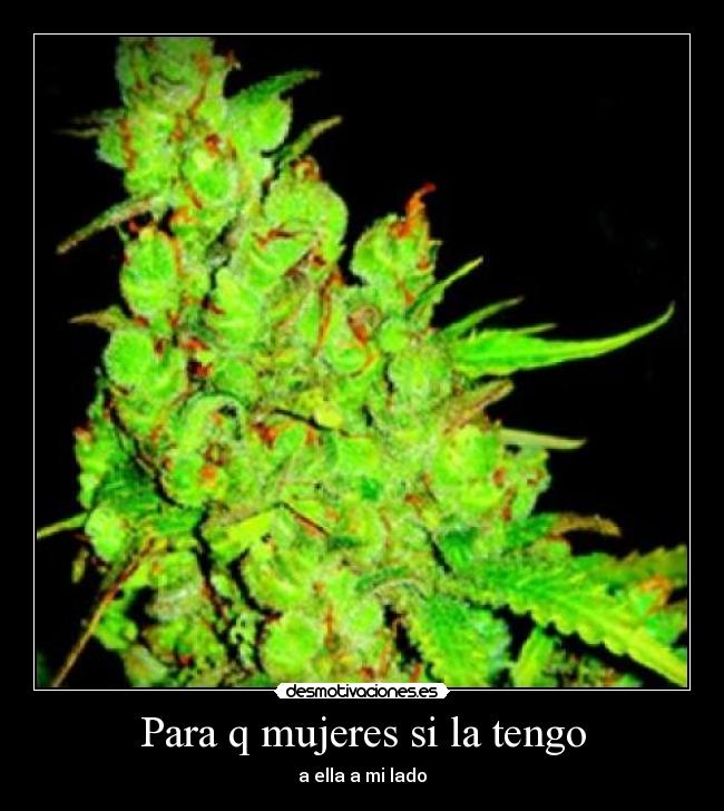 Para q mujeres si la tengo -