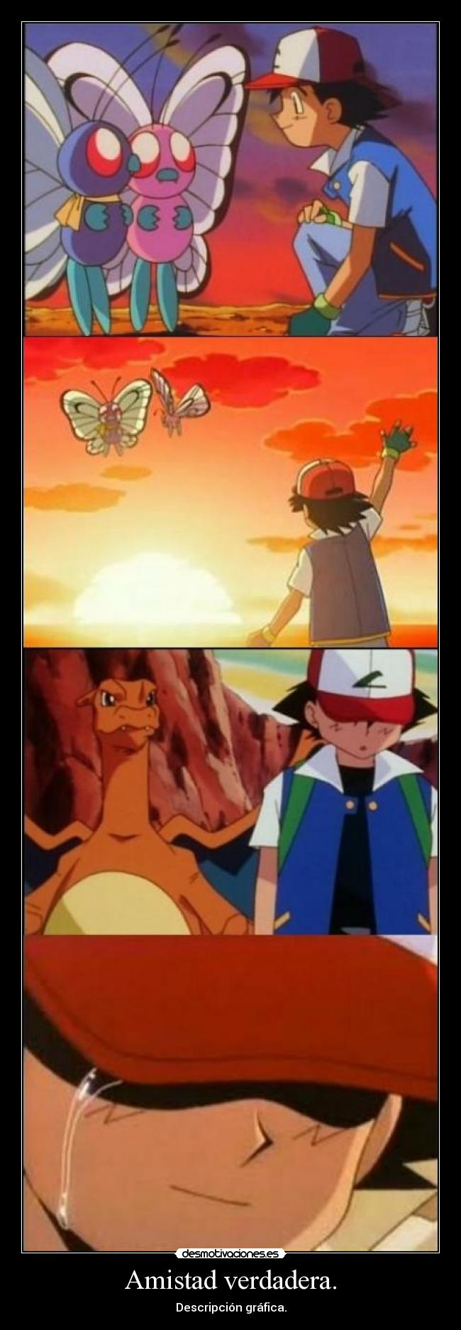 Amistad verdadera. - Descripción gráfica.