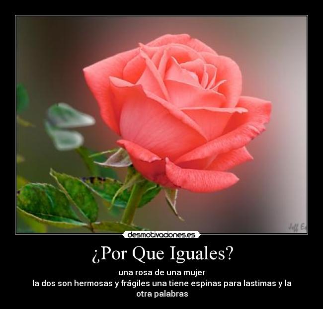 ¿Por Que Iguales? - 