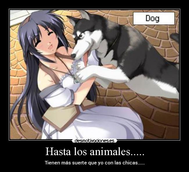 Hasta los animales..... -