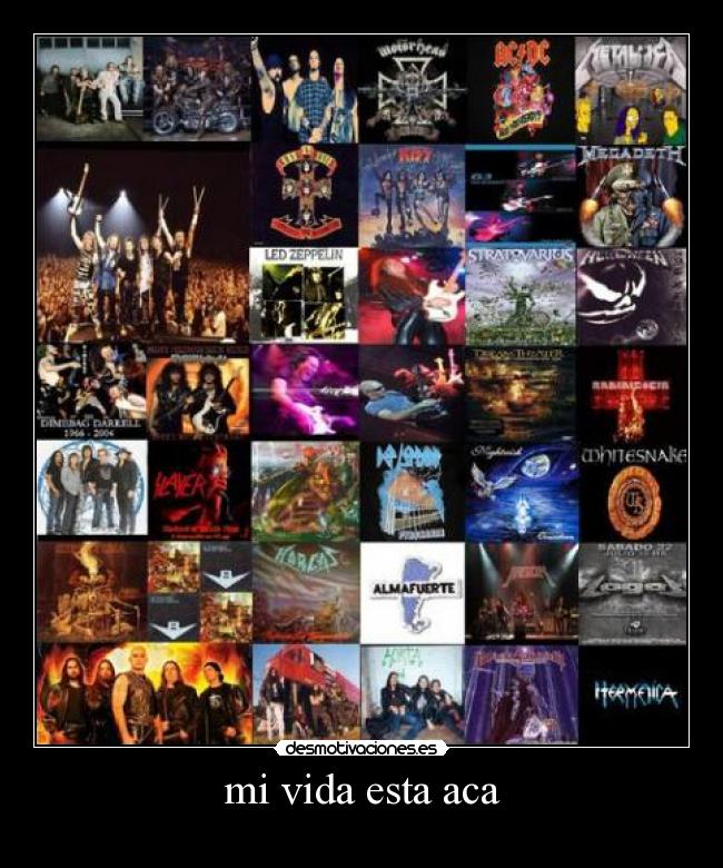 mi vida esta aca -