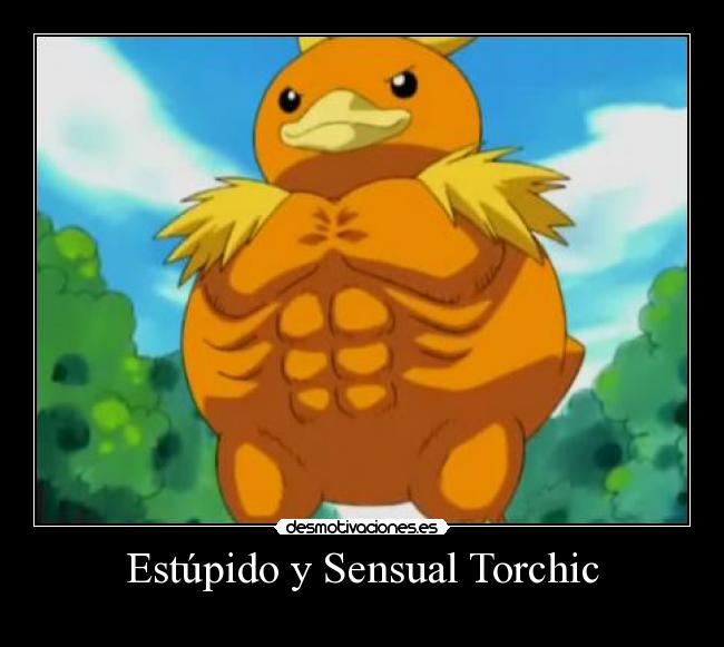 Estúpido y Sensual Torchic -