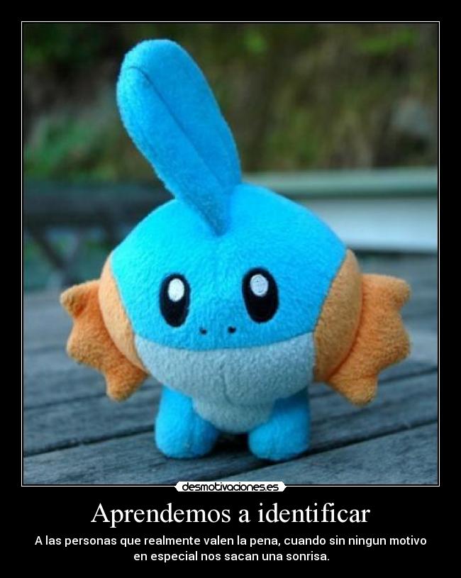 Aprendemos a identificar - 