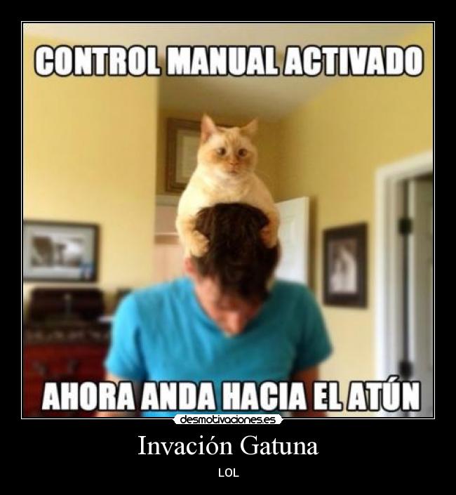 Invación Gatuna - LOL