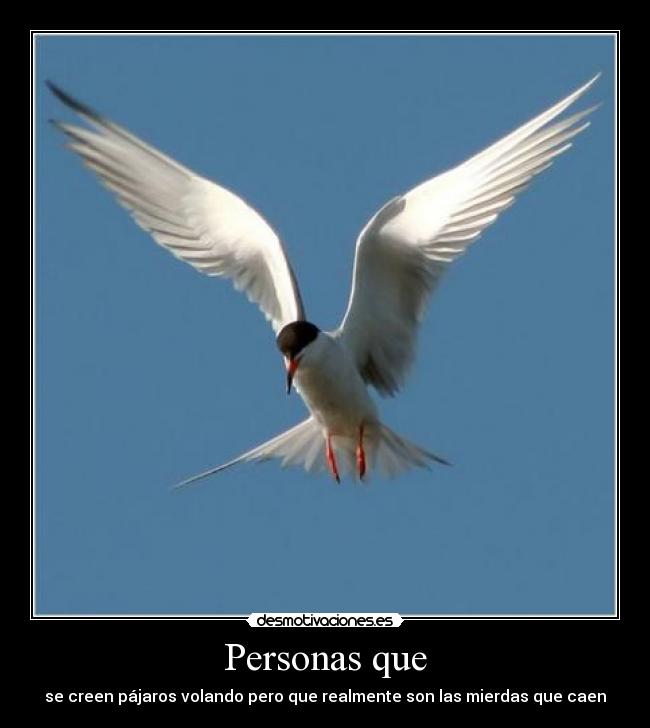 Personas que -