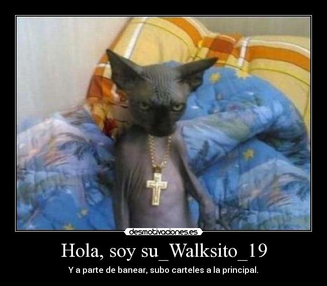 Hola, soy su_Walksito_19 - Y a parte de banear, subo carteles a la principal.