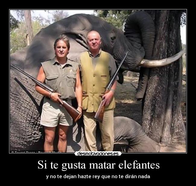 Si te gusta matar elefantes - y no te dejan hazte rey que no te dirán nada