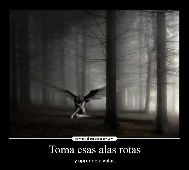 Toma esas alas rotas - y aprende a volar.