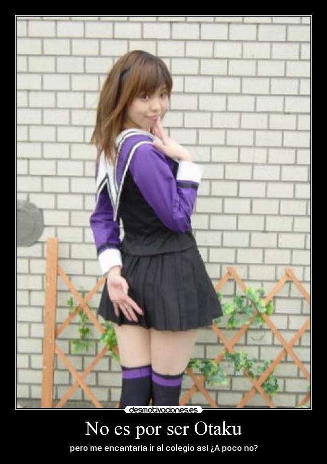 No es por ser Otaku -
