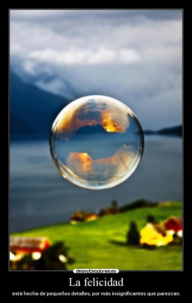 La felicidad - está hecha de pequeños detalles, por más insignificantes que parezcan.