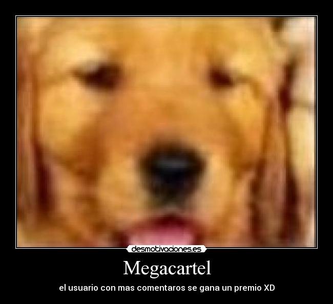 Megacartel - el usuario con mas comentaros se gana un premio XD