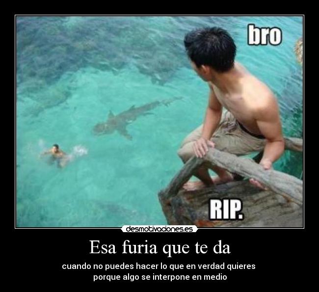 Esa furia que te da - cuando no puedes hacer lo que en verdad quieres 
porque algo se interpone en medio