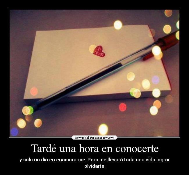 Tardé una hora en conocerte - y solo un día en enamorarme. Pero me llevará toda una vida lograr olvidarte.