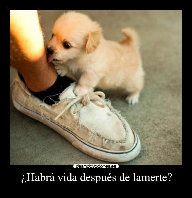 ¿Habrá vida después de lamerte? - 