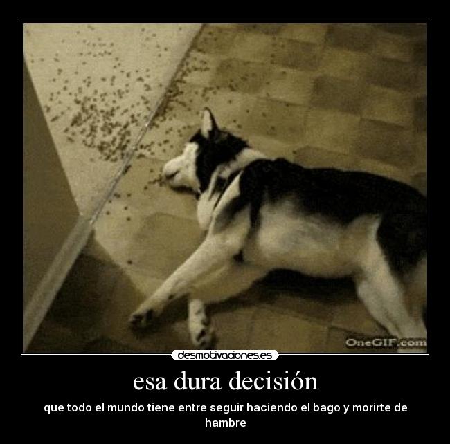 esa dura decisión - que todo el mundo tiene entre seguir haciendo el bago y morirte de hambre
