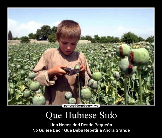 carteles muchos desmotivan porque nacieron tales necesidades desmotivaciones