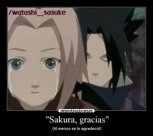 Sakura, gracias - 
