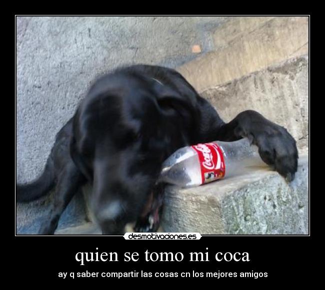 quien se tomo mi coca - 