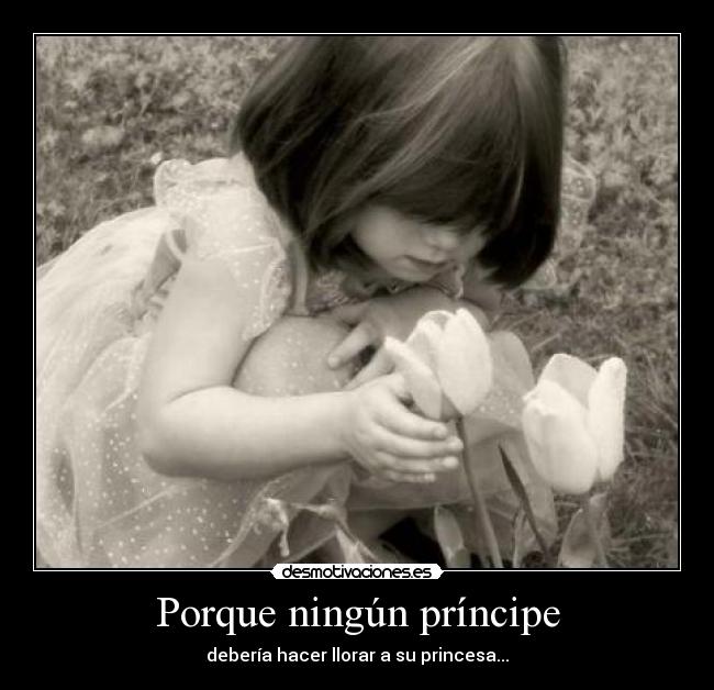Porque ningún príncipe -