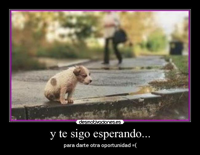 y te sigo esperando... - para darte otra oportunidad =(