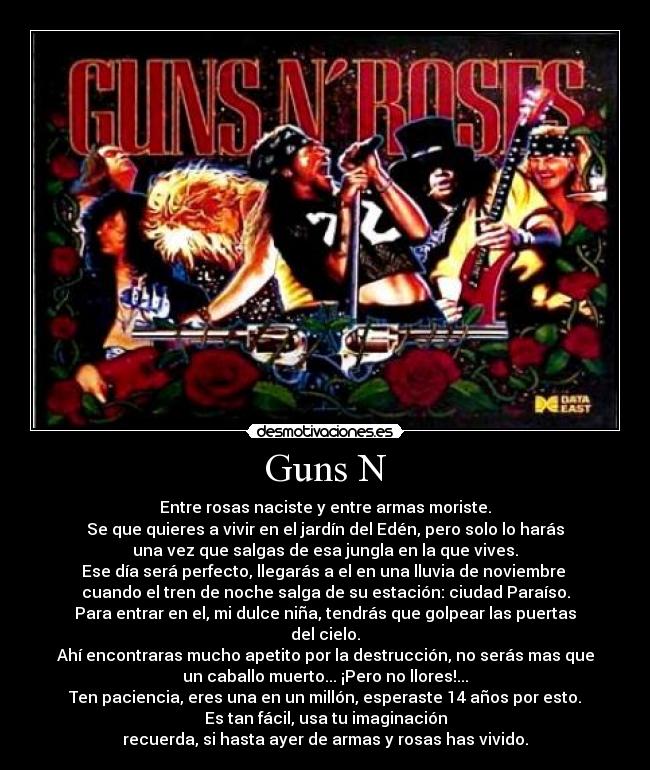 Guns N -