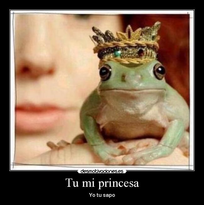 Tu mi princesa -