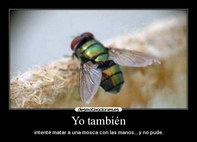 Yo también - intenté matar a una mosca con las manos... y no pude.