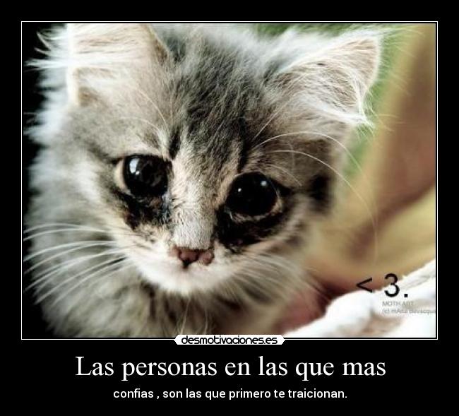 Las personas en las que mas - confias , son las que primero te traicionan.