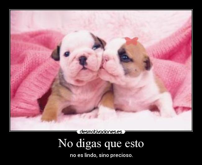 No digas que esto - no es lindo, sino precioso.